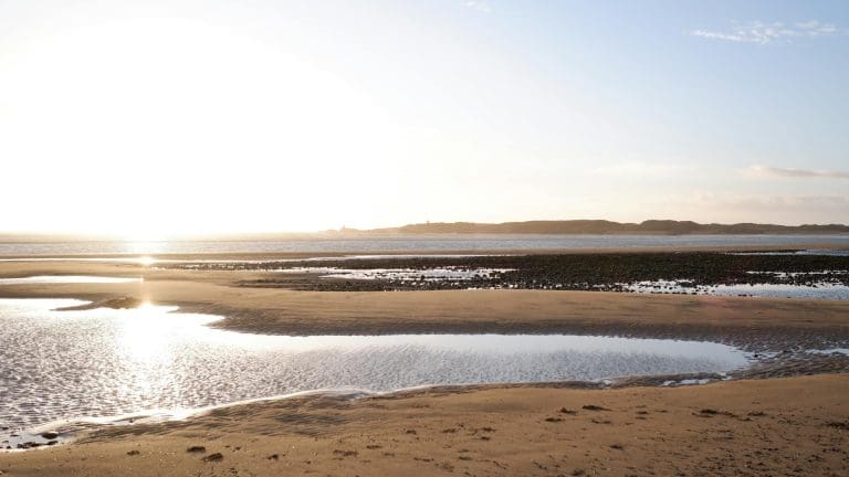 Hidden Beaches in Northumberland Locals Love